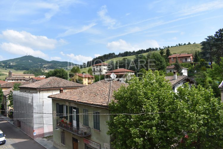 TRILOCALE DA RISTRUTTURE CON VISTA VERDE A PELLEGRINO PARMENSE