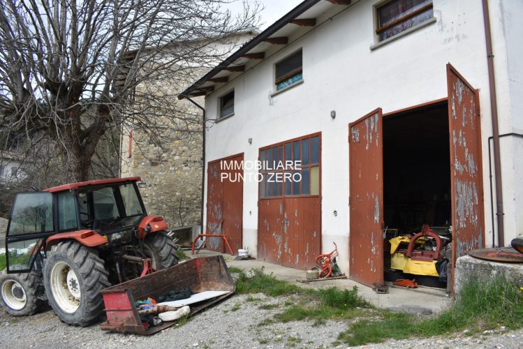 CASA CON STALLA E TERRENI A MOZZANO