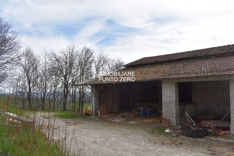 CASA CON STALLA E TERRENI A MOZZANO