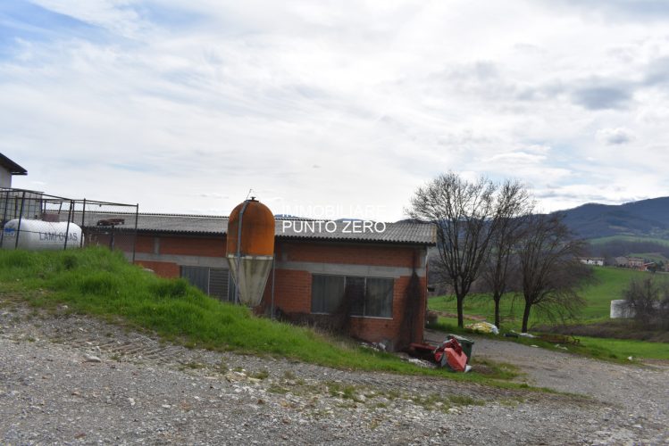 CASA CON STALLA E TERRENI A MOZZANO