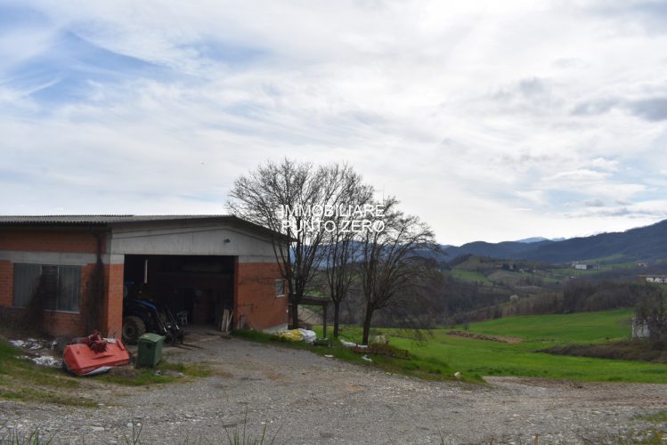 CASA CON STALLA E TERRENI A MOZZANO