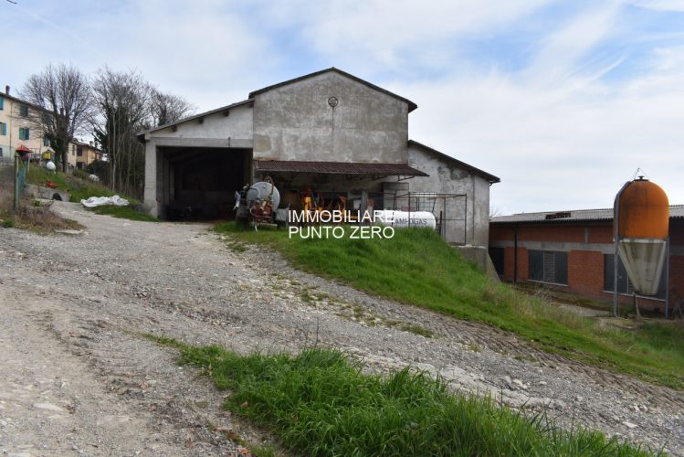 CASA CON STALLA E TERRENI A MOZZANO