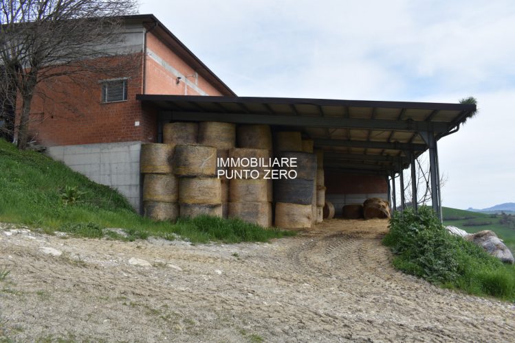 CASA CON STALLA E TERRENI A MOZZANO